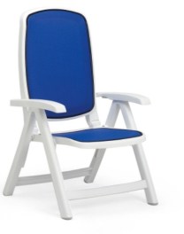 2015 Delta Armchair Blue White